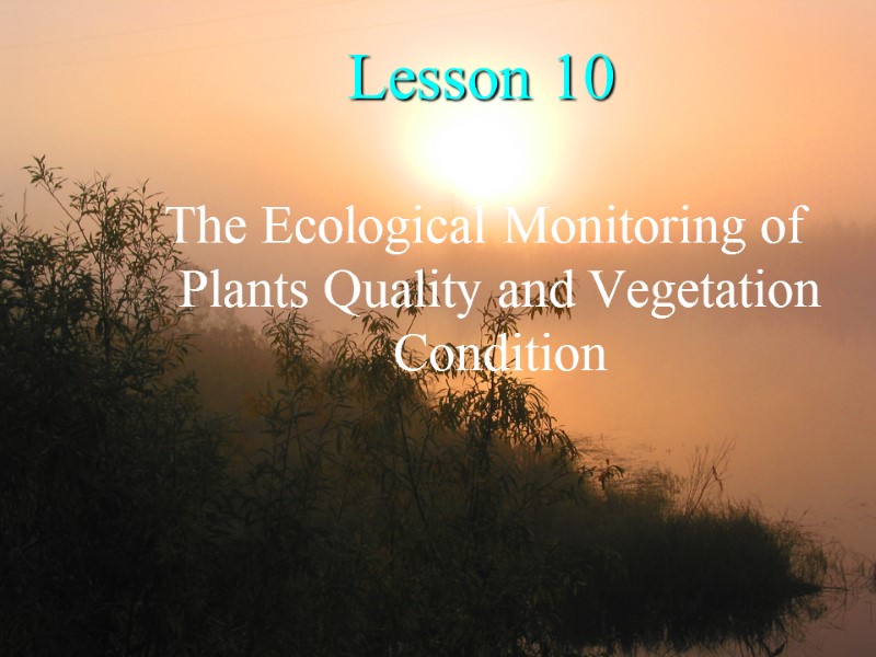 Lesson 10  The Ecological Monitoring of Plants Quality and Vegetation Condition